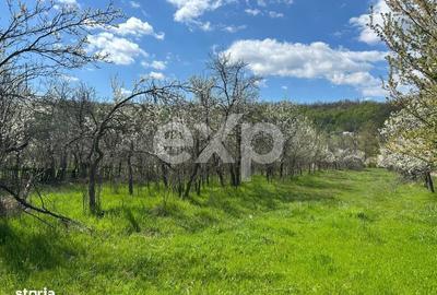 Spațiu comercial, în Săliștea - 2