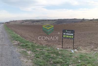 Teren Construcții intravilan de 33500 mp, în Măieruș - 6