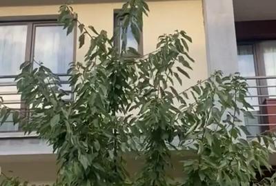 Vand vila mobilata Bucure?ti bragadiru 150 mp 4 camere super pozitie bragadiru zona McDonald's Vand vila mobilata Bucure?ti bragadiru 150 mp 4 camere super pozitie bragadiru zona McDonald's - 16