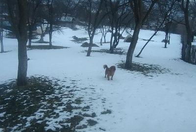 Spațiu comercial, în Ghioșești - 1
