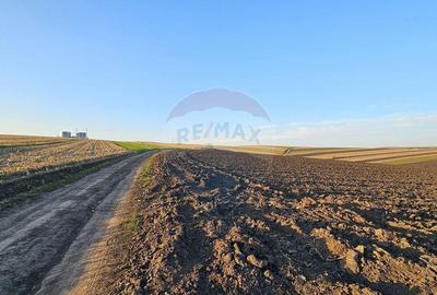 Teren extravilan 30077mp Stroiesti / Soseaua DN17, Suceava - 6