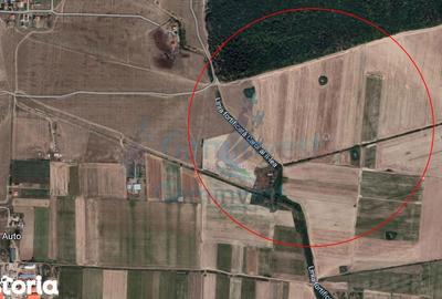 Teren de 14400 mp, în Centura