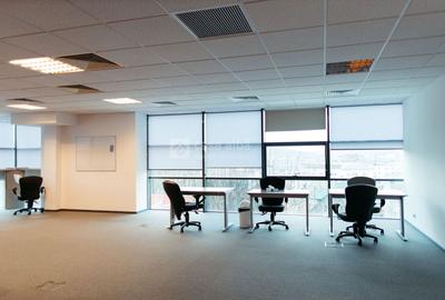 Tudor Vladimirescu - spatiu birouri clasa A, READY TO MOVE - 11