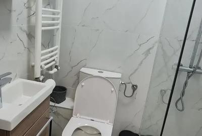Vand apartament cu 3 camere, zona Teatru, Hunedoara, 45000 euro neg - 5