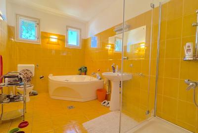 Casă individuală cu 10 camere cu Canalizare în Sălaj - 24
