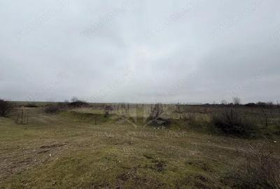 Teren de 114000 mp, în Central - 3