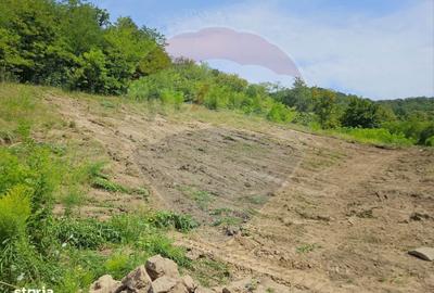 Spațiu comercial, în Central - 1