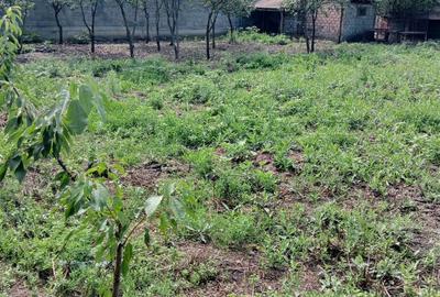 Casă cu 2 camere în Central - 2