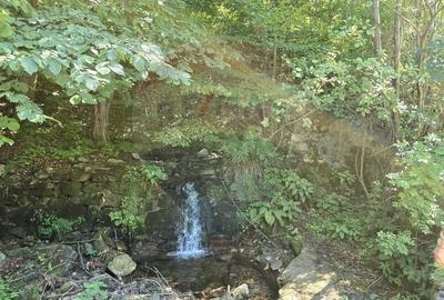 Teren 4,000mp Pascoaia / Soseaua Punctul Chiliilor - 14