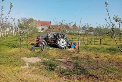 Teren de 16000 mp, în Belinț - 3