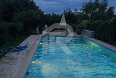 O Poveste de Vis pe Malul Lacului Snagov - 56