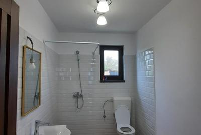 Casă individuală cu 2 camere cu Teren 795 Mp în Buturugeni - 8