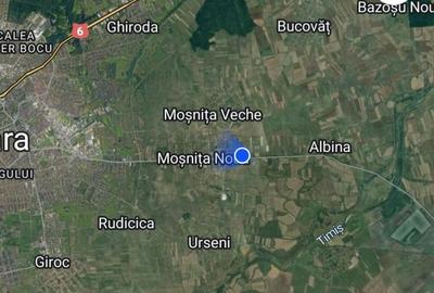 Hala, Mosnita Noua Hala, Mosnita Noua - 5