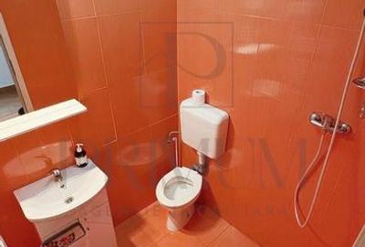 Apartament cu 3 camere decomandat, mobilat în Lipovei - 9