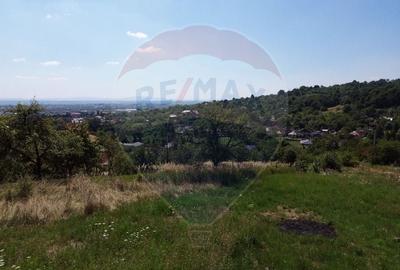 OCAZIE! Teren IEFTIN de vanzare in Baia Mare, pe Valea Borcutului - 3