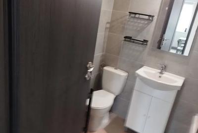 Apartament cu 2 camere decomandat, mobilat în Viilor - 7
