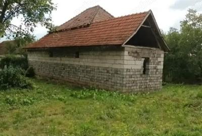 Casă cu 3 camere în Săliște - 2