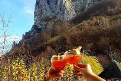 Casă în Râmeț - 1