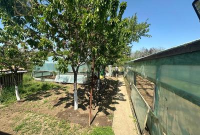 Casa -  Mogosoaia - Individuala - - 19