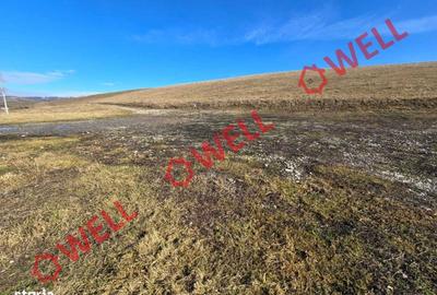 Spațiu comercial, în Barcani - 4