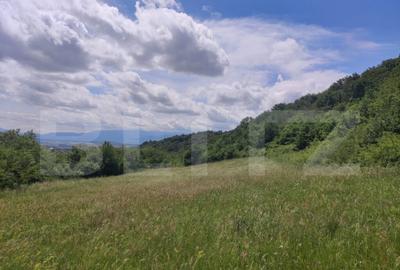 Teren de 28500 mp, în Gușterița - 7