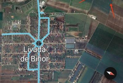 Teren de 11500 mp, în Livada de Bihor - 2