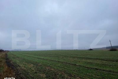 Spațiu comercial, în Ișalnița - 2