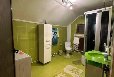 Vila de inchiriat aproape de Targu-Jiu - 6