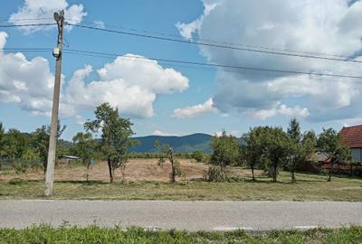 Spațiu comercial, în Căprioara - 4