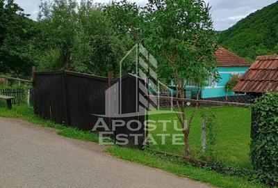 Casa batraneasca de vanzare | 4 camere | Hunedoara | Micane?ti - 14