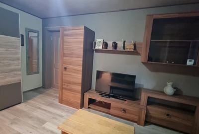 Apartament cu 2 camere semidecomandat, mobilat în Brazda lui Novac - 4