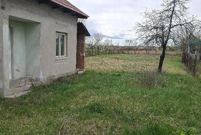 Casă cu 3 camere cu Teren 1000 Mp în Bratia din Deal - 3