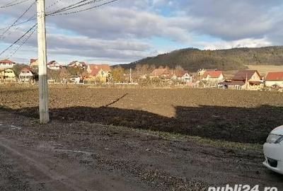 Teren de 4050 mp, în Ceuaș - 2
