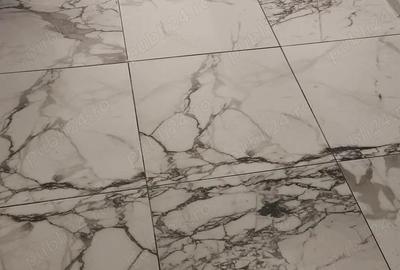 Vila de vanzare la Sannicolau Mare - 2