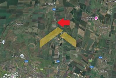 Teren extravilan de vanzare drumul Arad-Sofronea - 2