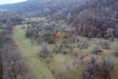 Teren Construcții intravilan de 36000 mp, în Provița de Jos