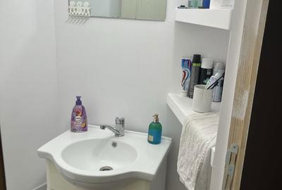 Apartament cu 3 camere decomandat în Banat - 7