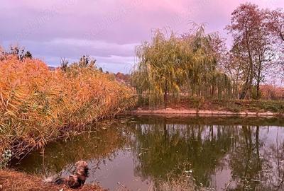 Casă în Dulcești - 5