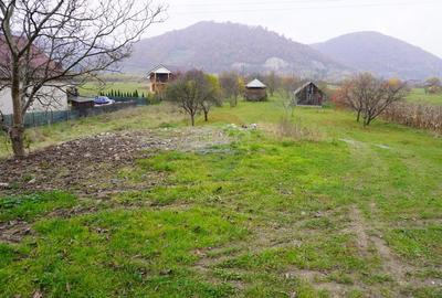 Teren Construcții intravilan de 7968 mp, în Exterior Est