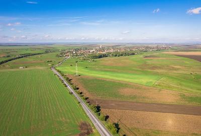 Teren de 104000 mp, în Vinga - 2