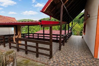 Casă cu Teren 1800 Mp în Enculești - 2