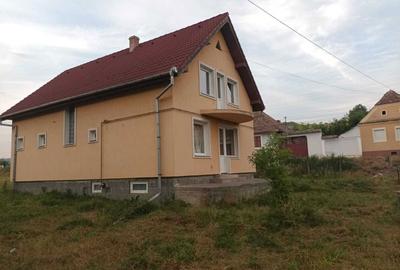 Casă cu 4 camere cu Teren 1600 Mp în Seleuș (Daneș) - 5