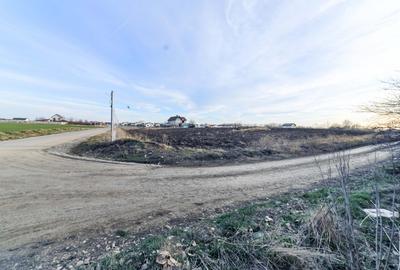 Domnesti Teren 6000mp Salciei- Haltei- Ciocarliei Drum asfaltat cu utilitati - 1