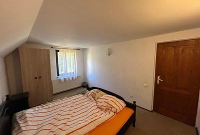 Pensiune de vanzare in statiunea Paltinis,Sibiu- Afacere la cheie - 9