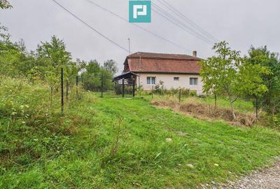 Casa de vanzare in depresiunea Mun?ilor Codru Moma - 12