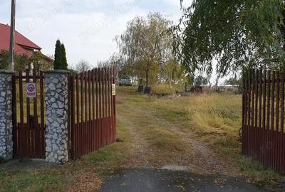 Casa cu teren 5000 m2 domeniu ranch - 9