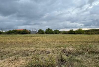 Teren în Vlad Țepeș - 1