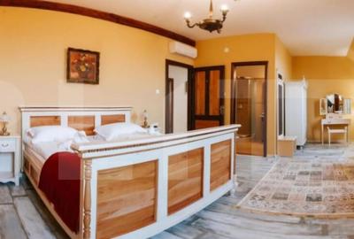 Conac de vanzare 7 camere cu bai proprii, crama, ciubar ? - 8