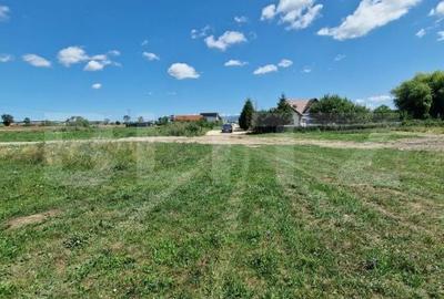 Teren de 6300 mp, în Mănești - 5