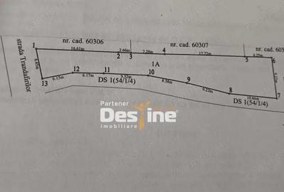 Teren + Proiect Locuin?a de Vanzare Strada Trandafirilor, Valea Lupului - 5
